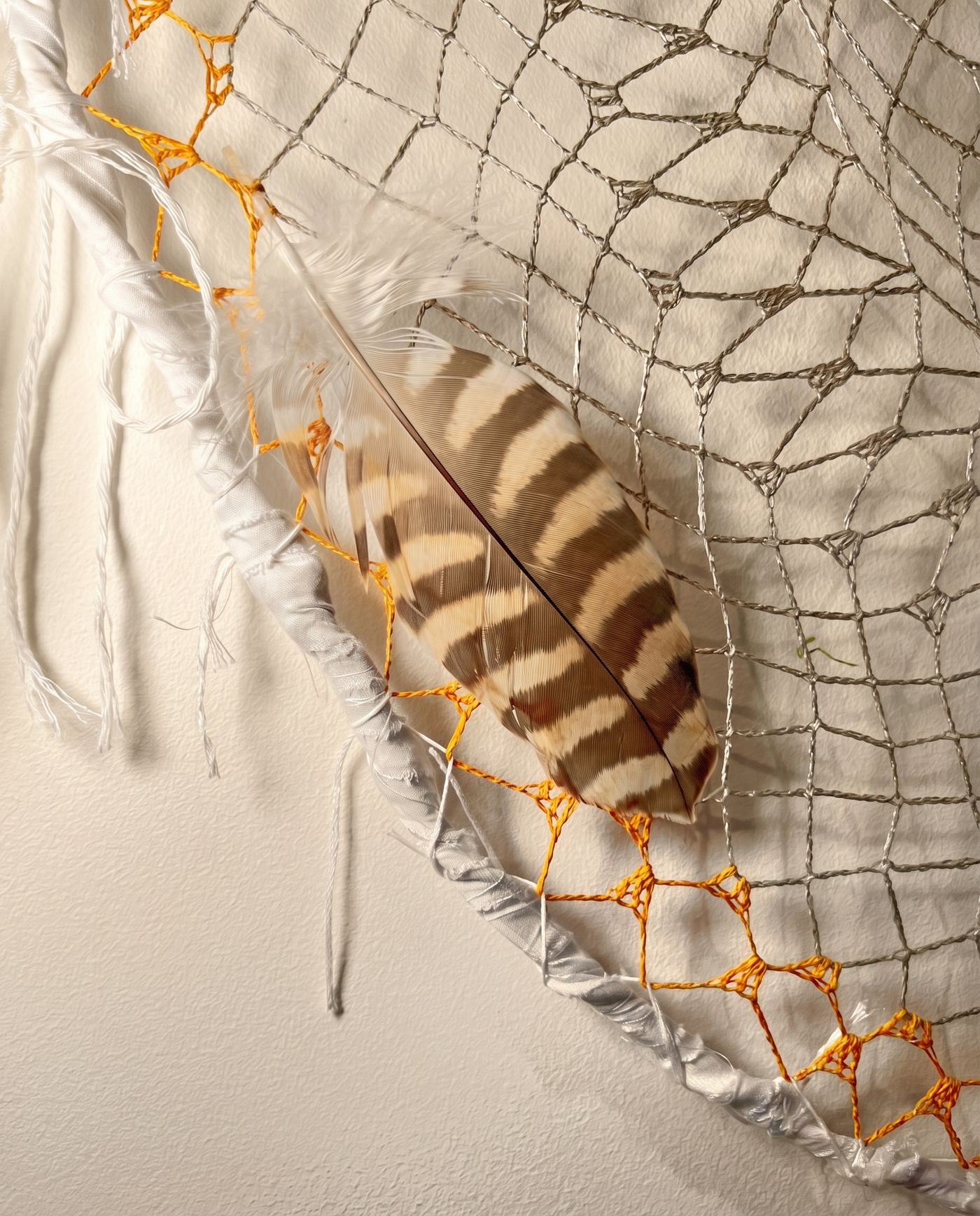 Detail of a Gyr/Saker falcon feather set into a hand-knotted frame.